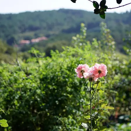 Casa De Chica Ecoturismo