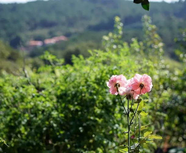 Casa De Chica Ecoturismo